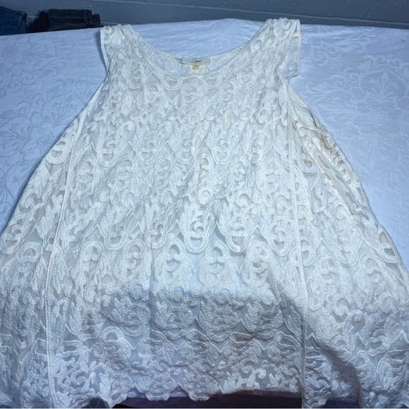 Capri Sioni Embroidered Mesh Tank L with Slit Halfway Up the Back Beige Large - Picture 11 of 13